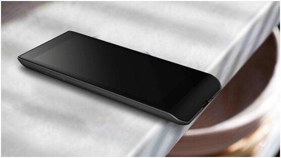 ���Ѓ�����c��ʢ��Ļ���W�ИI��һ�F��Ʒ��