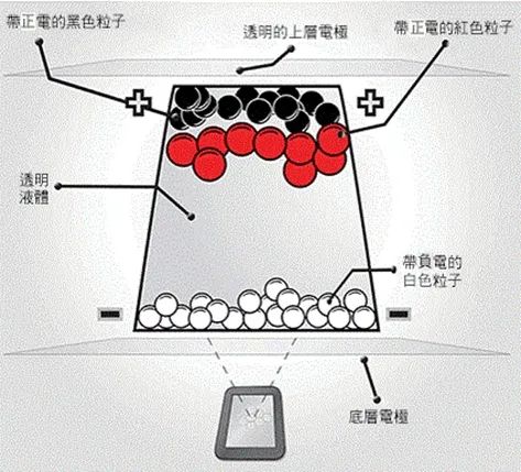 BOE數字胸牌攻略(入門篇)——小胸牌藏萬象